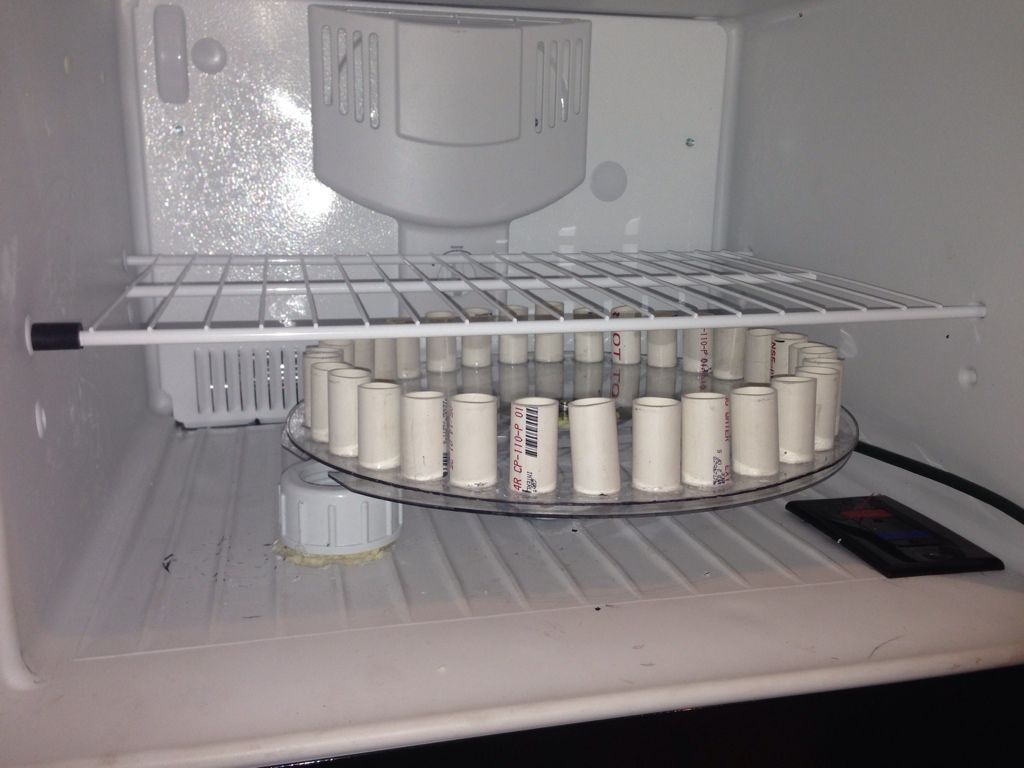 My "Elliot Automatic Frozen Fish Food Feeder" Reef Central Online